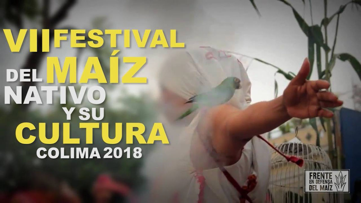VII Festival en Defensa del Maíz Nativo y su Cultura